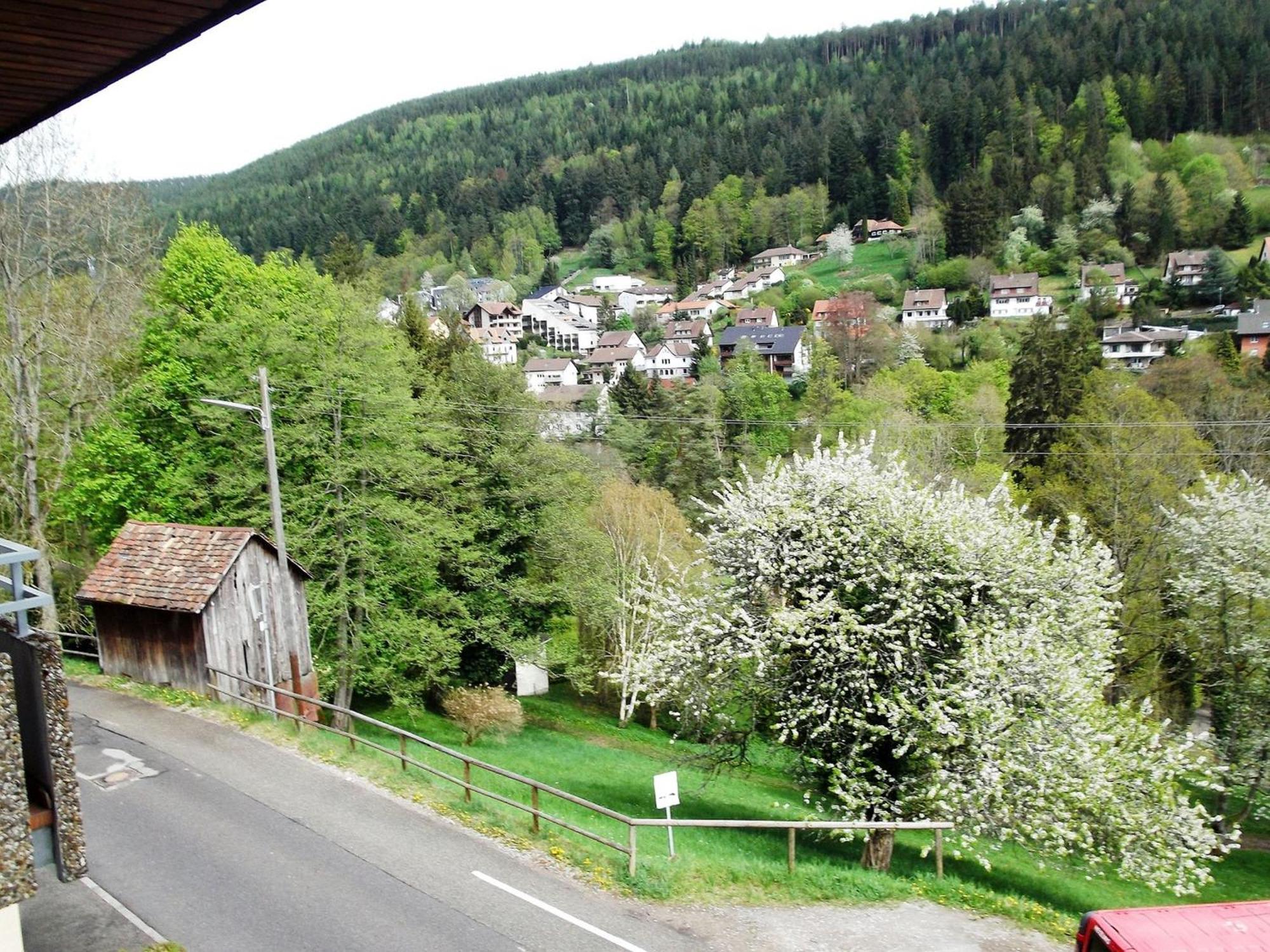 Apartment Talblick Mit Schwimmbad *