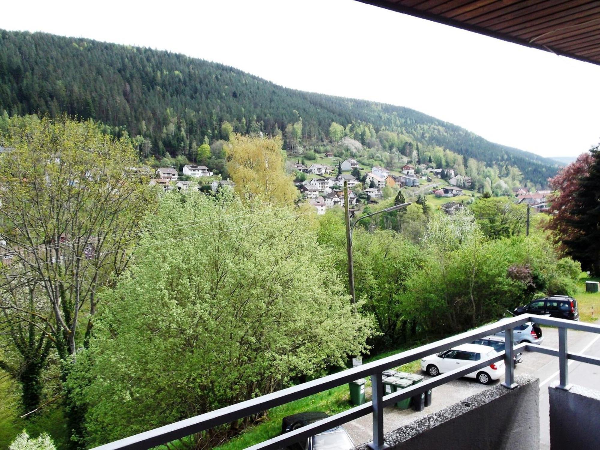 Talblick Mit Schwimmbad * Bad Wildbad