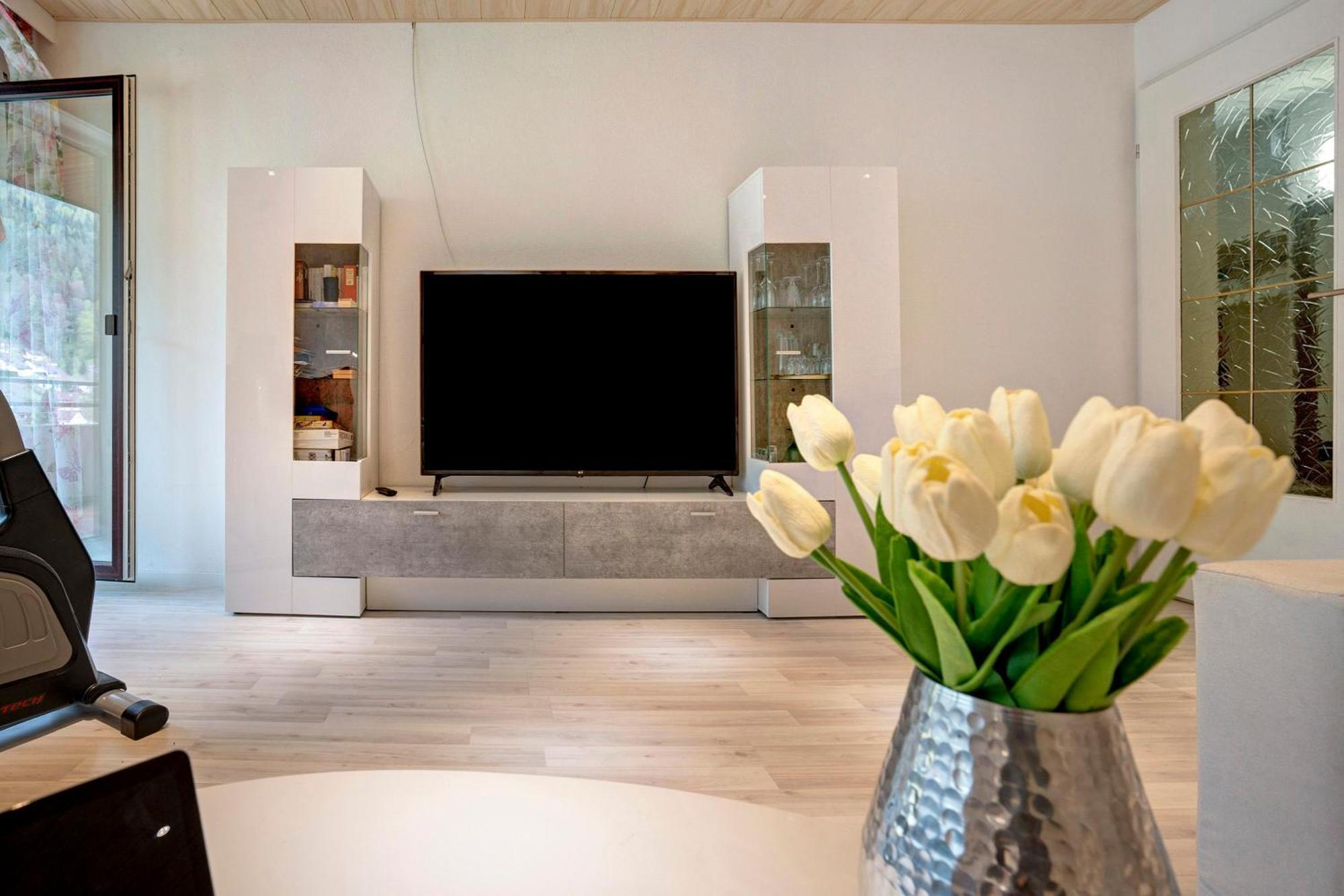 Talblick Mit Schwimmbad Apartment